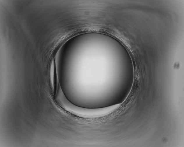 X0000099310013200805021325