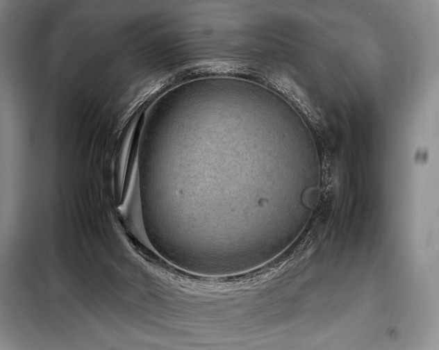 X0000099310014200805021325
