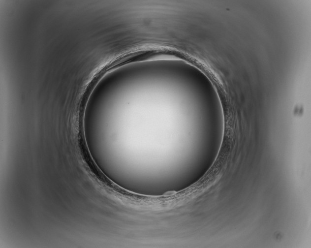 X0000099310015200805021325