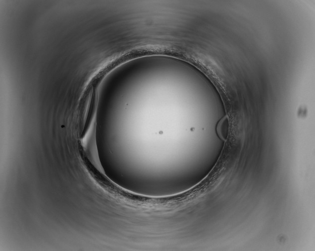 X0000099310016200805021325