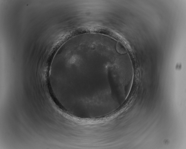 X0000099310018200805021325