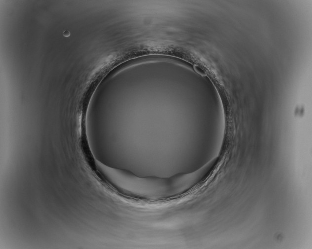 X0000099310019200805021324