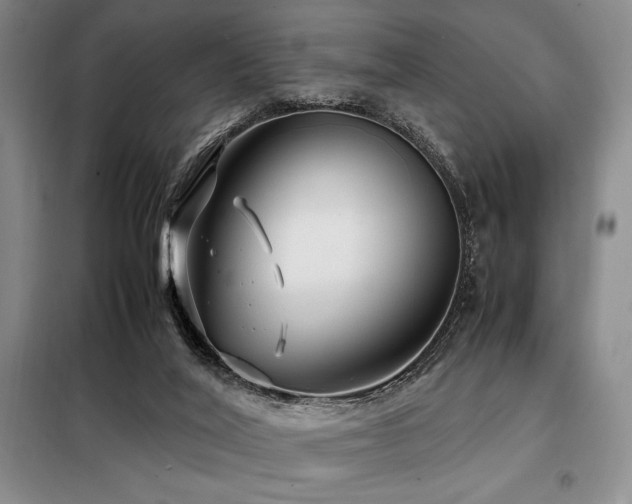 X0000099310020200805021324