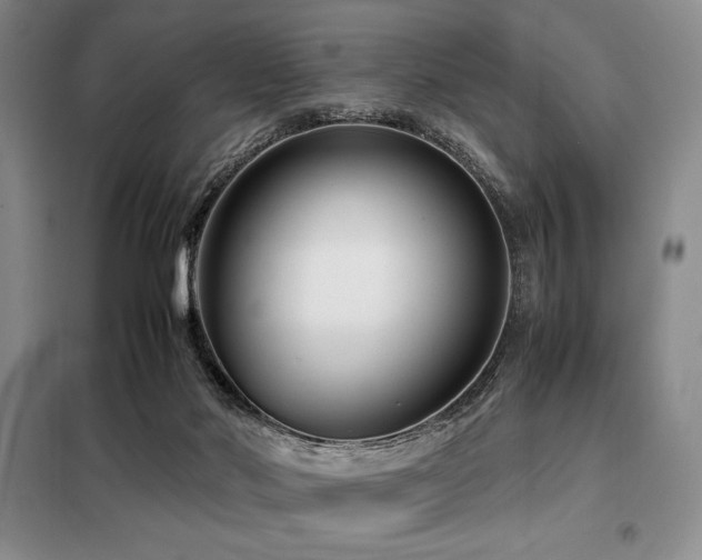X0000099310022200805021324