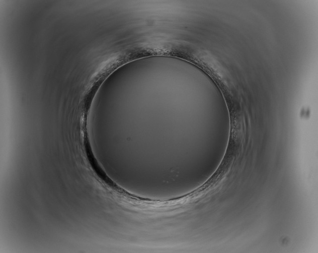 X0000099310023200805021324