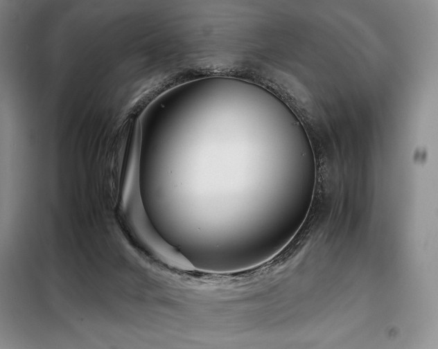 X0000099310024200805021324