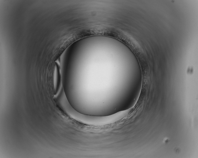 X0000099310025200805021324