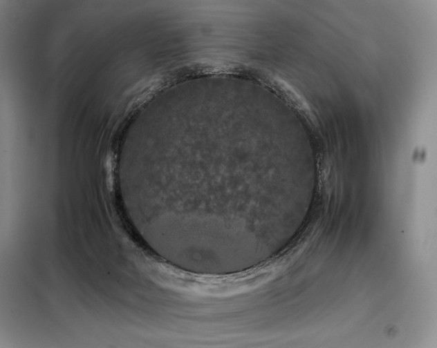 X0000099310026200805021324