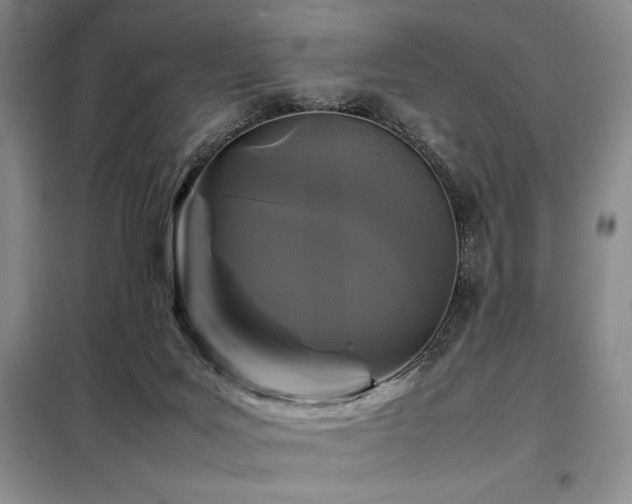 X0000099310027200805021324