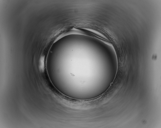 X0000099310028200805021324