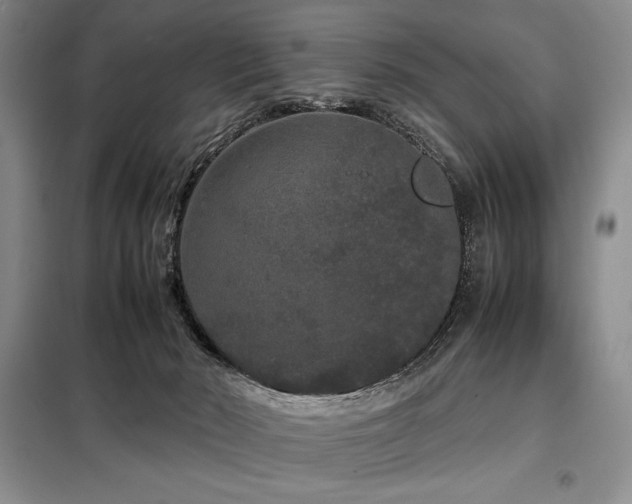 X0000099310030200805021324