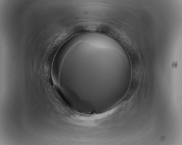 X0000099310031200805021324