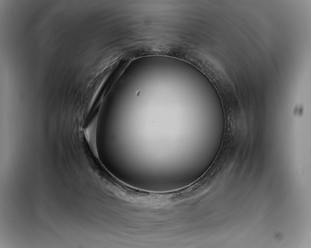 X0000099310032200805021324