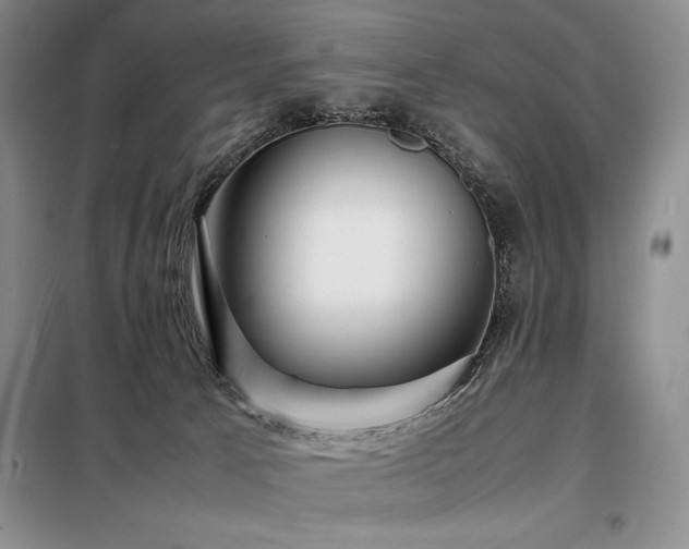 X0000099310033200805021324
