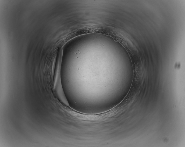 X0000099310034200805021324