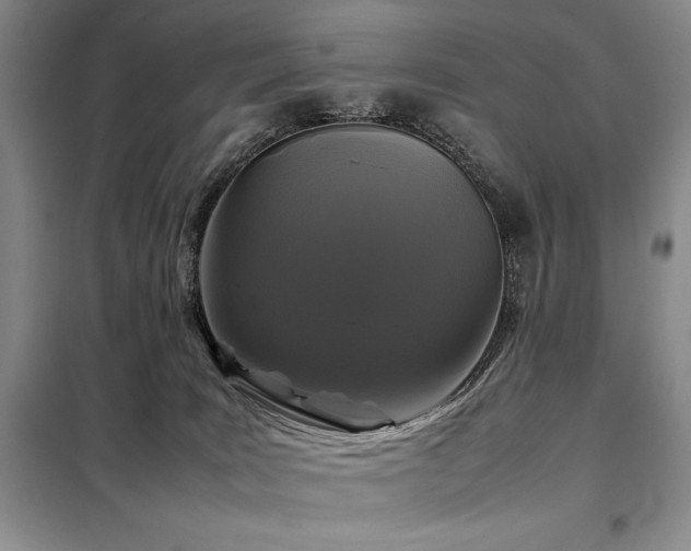 X0000099310035200805021324