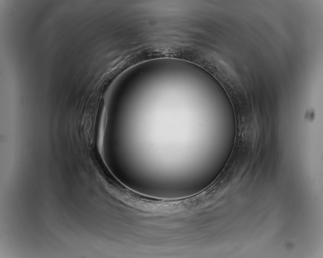 X0000099310036200805021324