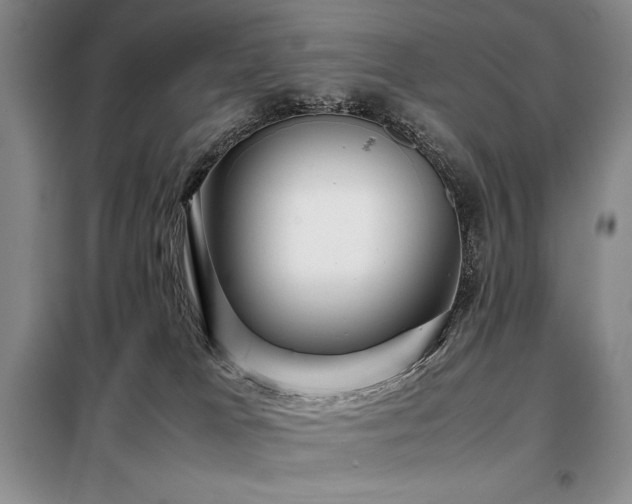 X0000099310037200805021324