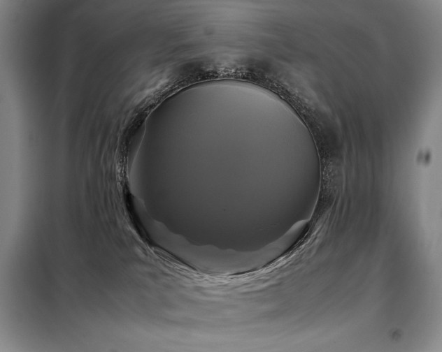 X0000099310039200805021324