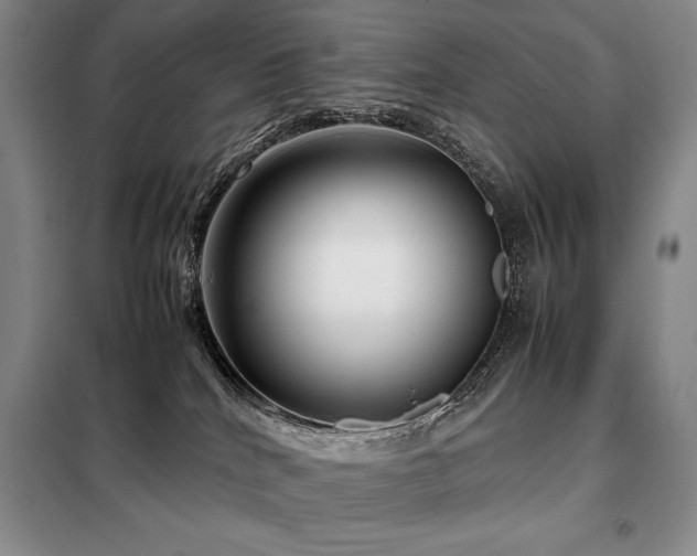 X0000099310040200805021324