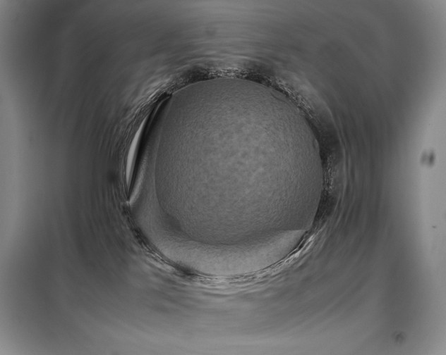 X0000099310041200805021324