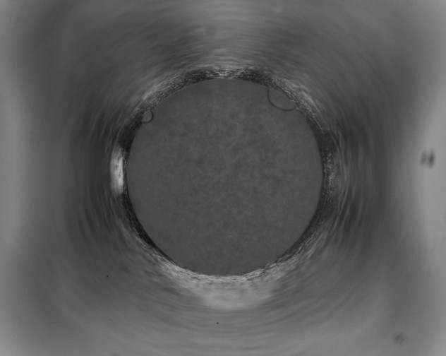 X0000099310042200805021324