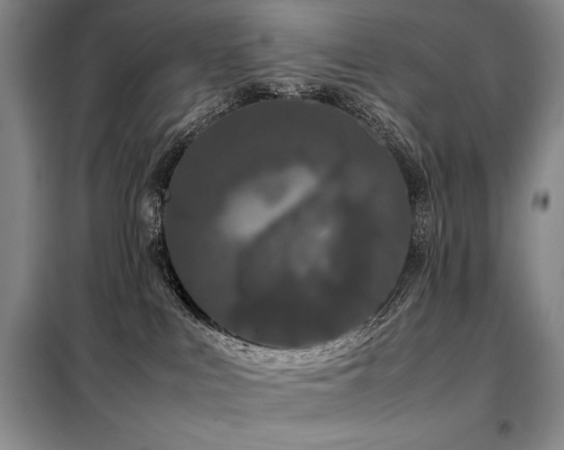 X0000099310043200805021324