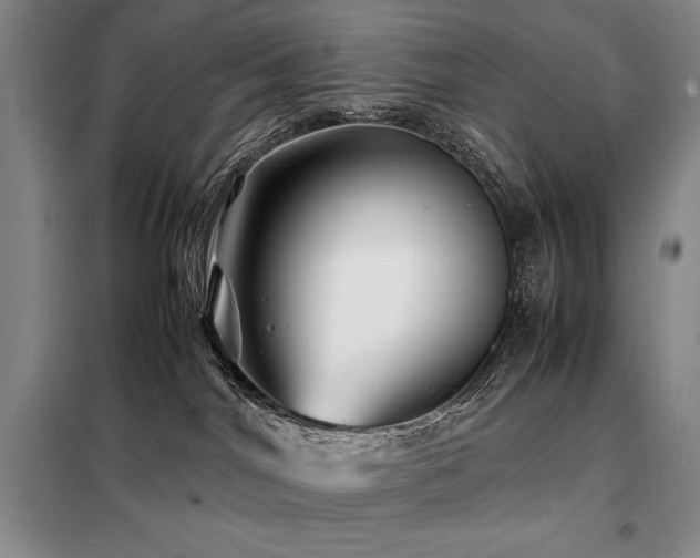 X0000099310044200805021324