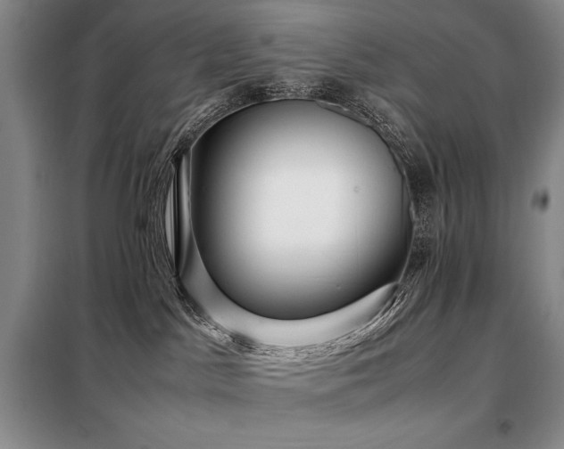 X0000099310045200805021324