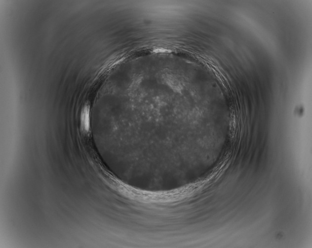 X0000099310046200805021324