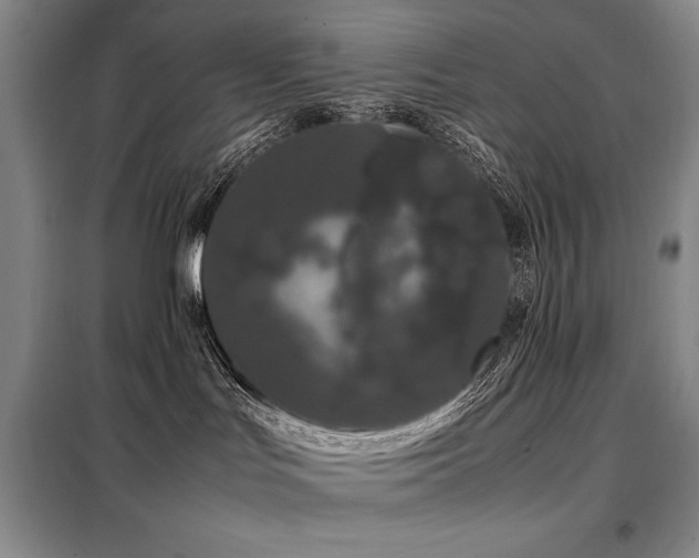X0000099310047200805021324