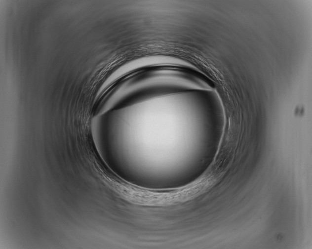 X0000099310048200805021324