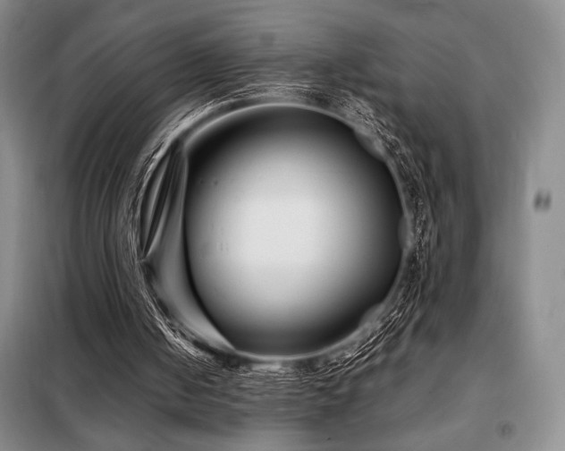 X0000099310050200805021323