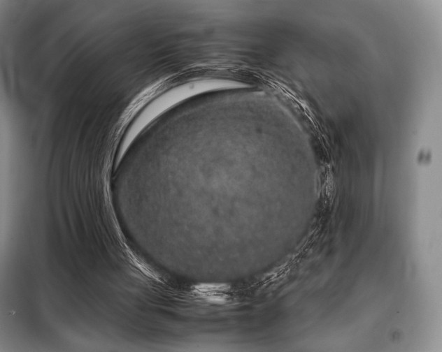 X0000099310051200805021323