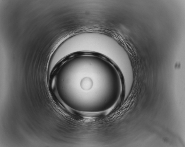 X0000099310052200805021323