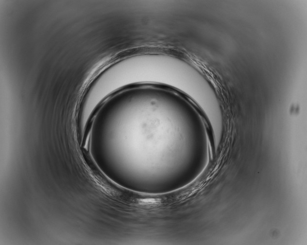 X0000099310053200805021323