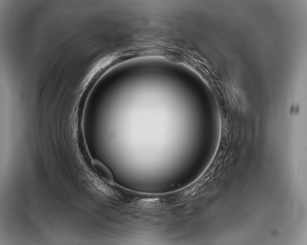 X0000099310054200805021323