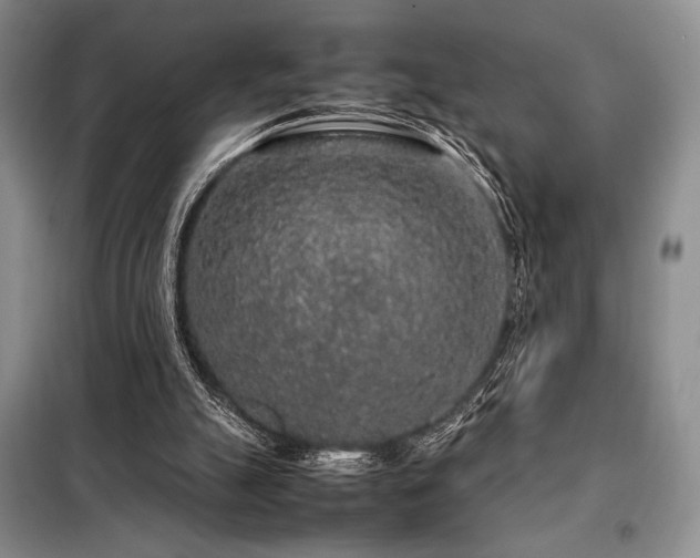 X0000099310055200805021324