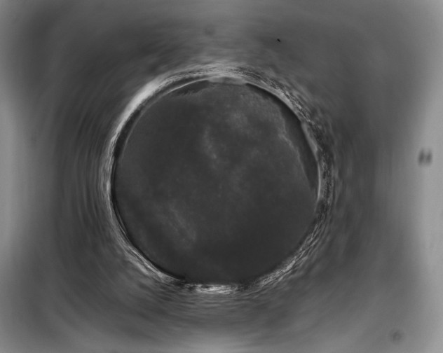 X0000099310056200805021324