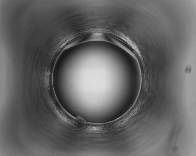 X0000099310057200805021324