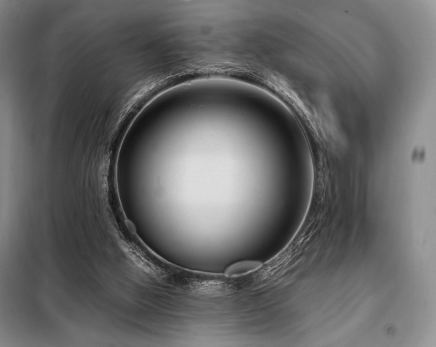 X0000099310058200805021324