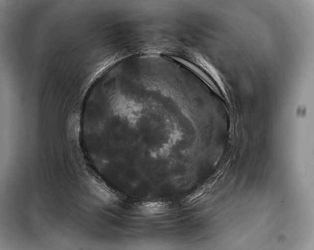 X0000099310059200805021324