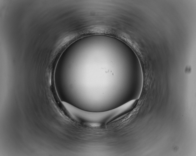 X0000099310062200805021324