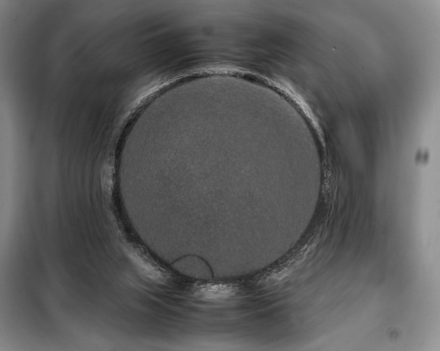 X0000099310063200805021324