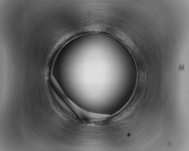 X0000099310064200805021324