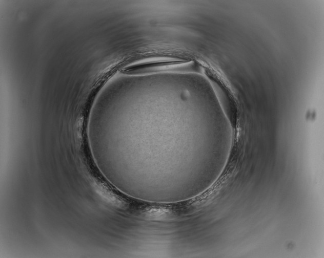 X0000099310066200805021324