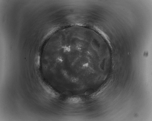 X0000099310067200805021324