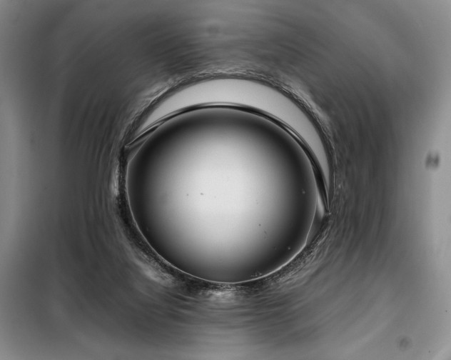 X0000099310068200805021324