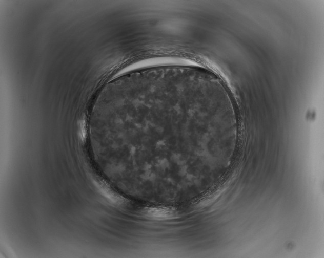 X0000099310069200805021324