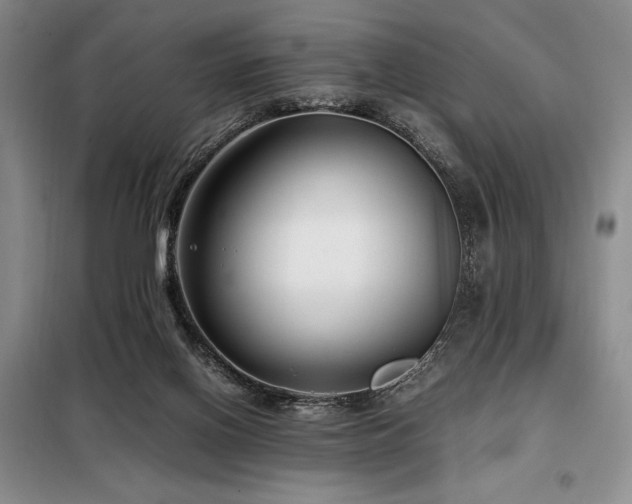X0000099310070200805021324